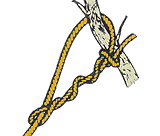 Узел удавка